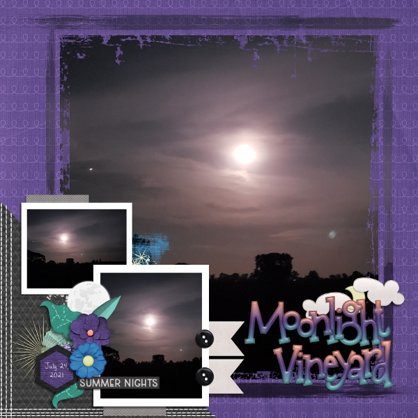 Moonlight Vineyard
