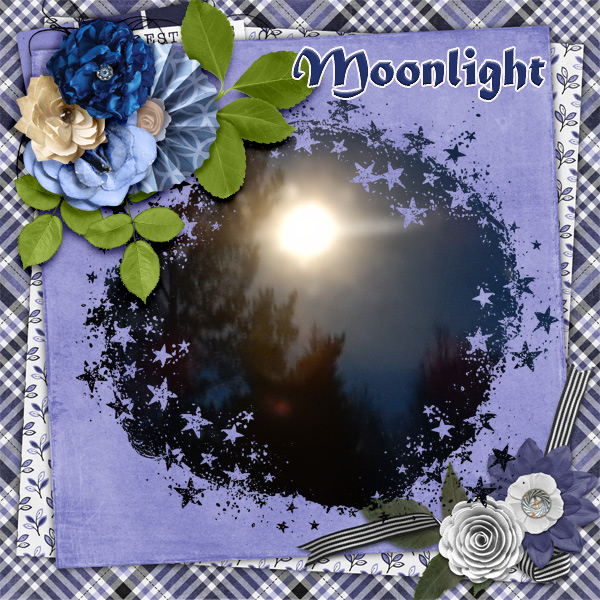 Moonlight1
