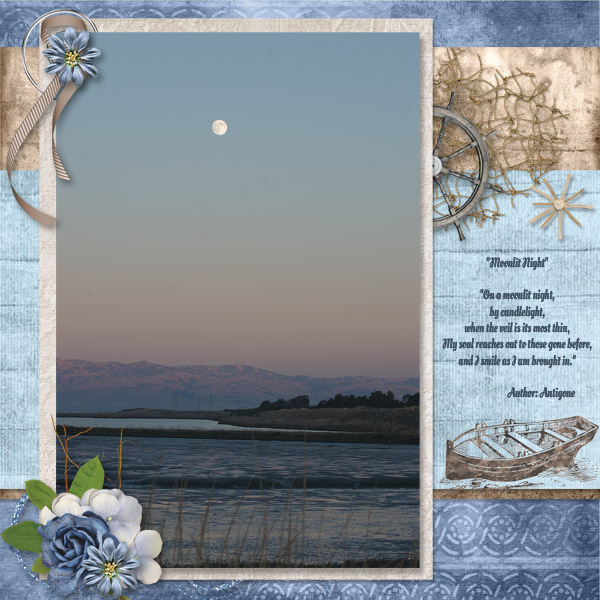 Moonlit Night