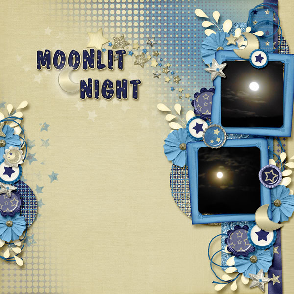 Moonlit Night