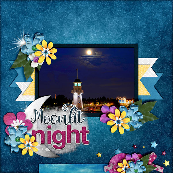 Moonlit-Night