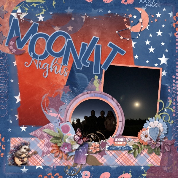 Moonlit Nights
