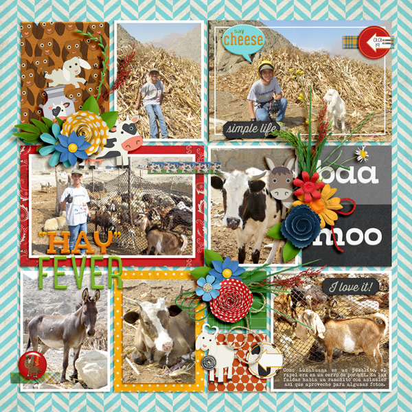 mooo