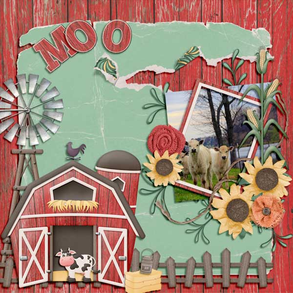 Mooooo