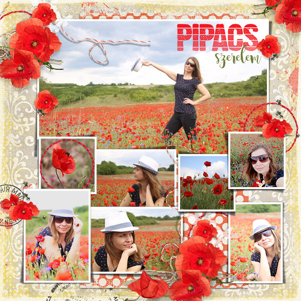 Moooore poppies