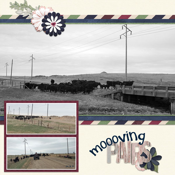 Moooving Pairs