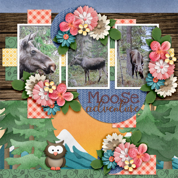 Moose-adventure