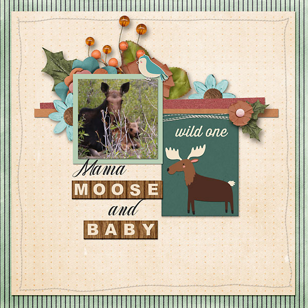 Moose-copy