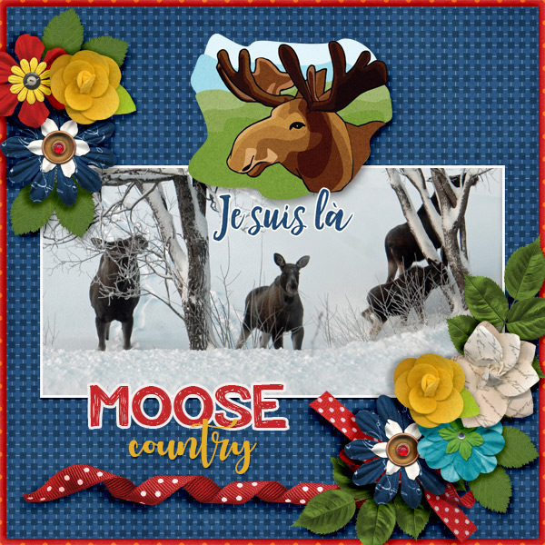 Moose-country