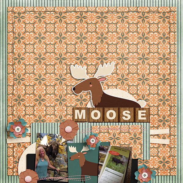 Moose - DSD Grab Bag