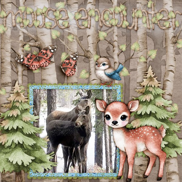 Moose-encounter.jpg