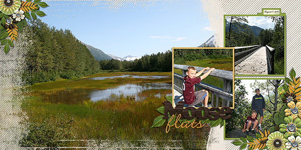 Moose Flats