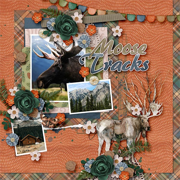 Moose Tracks