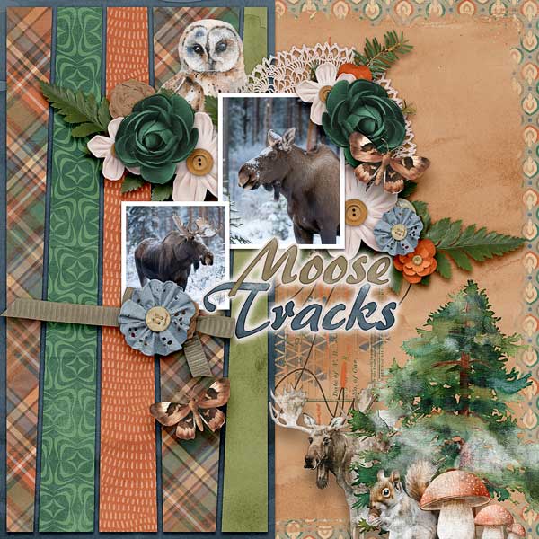 Moose Tracks