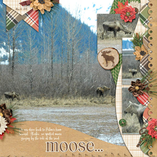 Moose