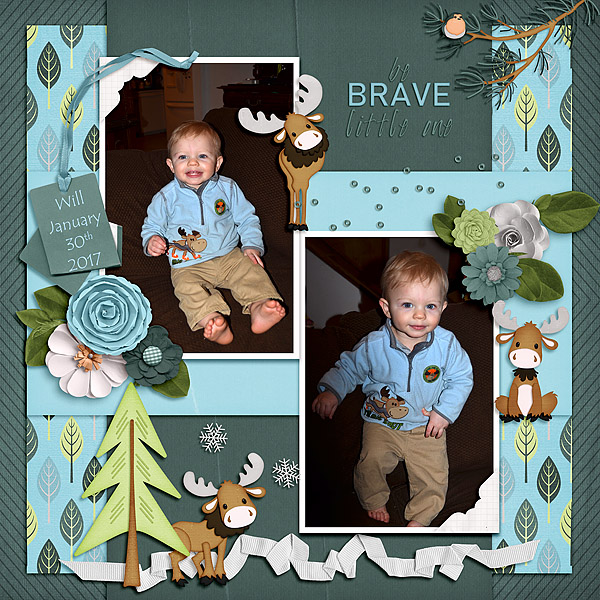 Moose
