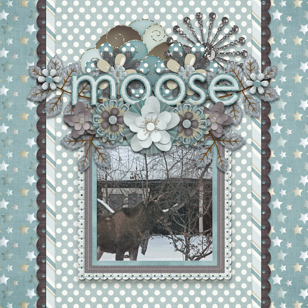 Moose