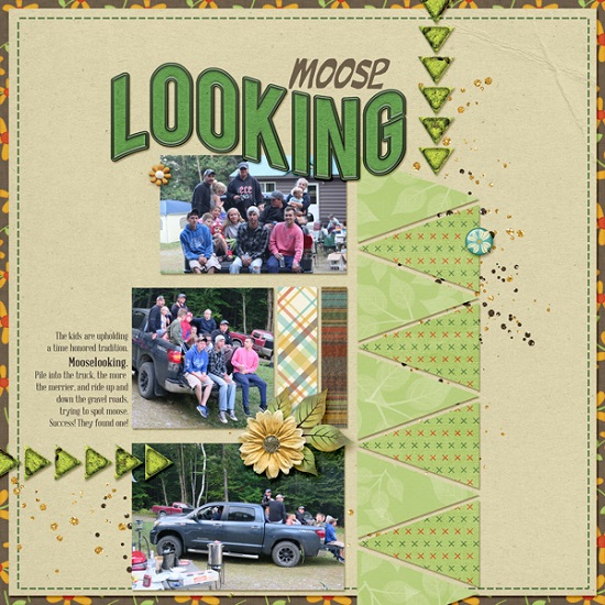 moose_looking