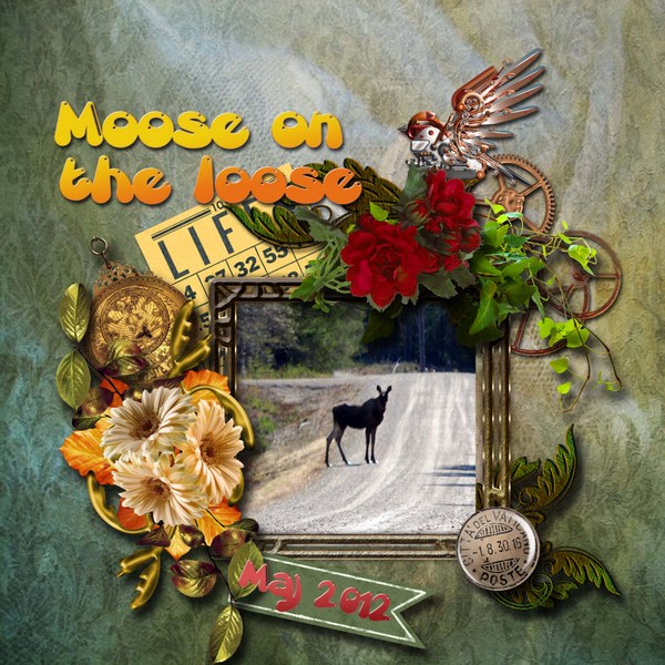 moose_on_the_loose