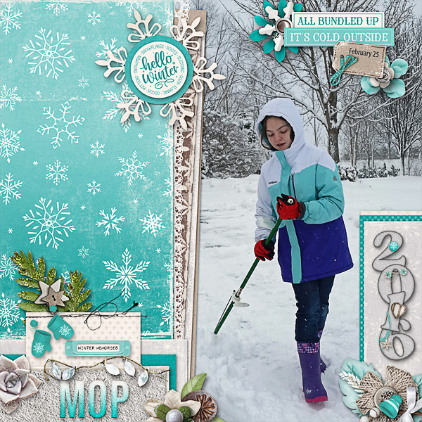 Mop Up the Snow