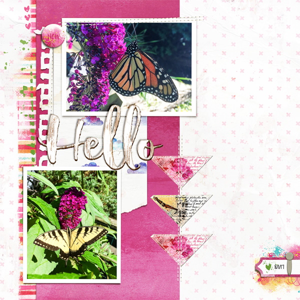 More Butterflies