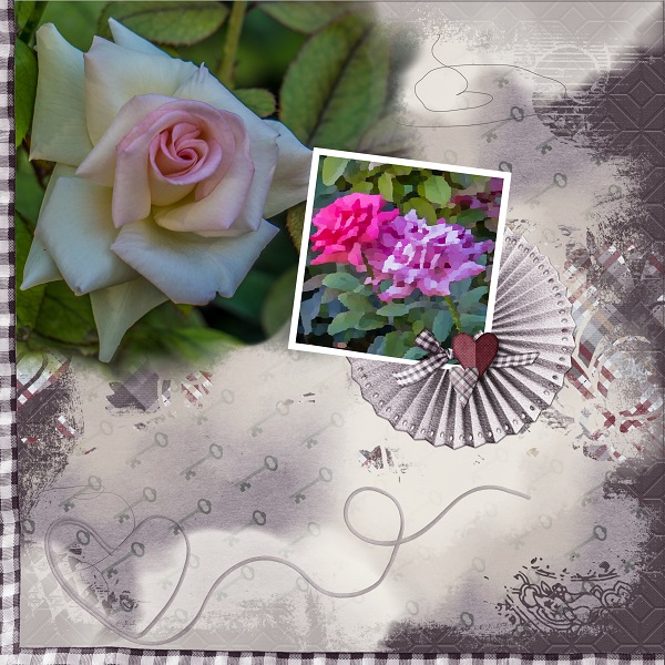 More Roses