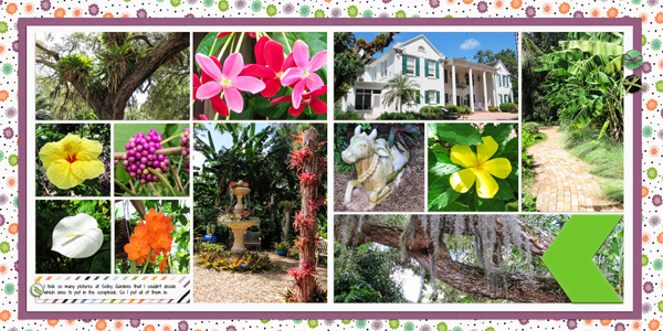 More Selby Gardens Pictures
