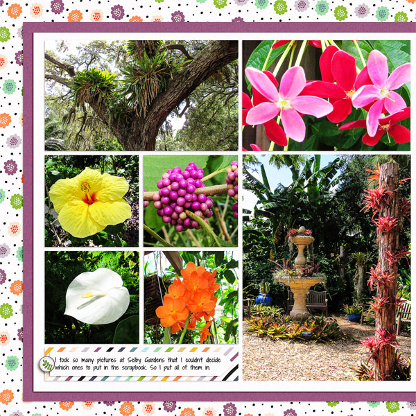 More Selby Gardens Pictures
