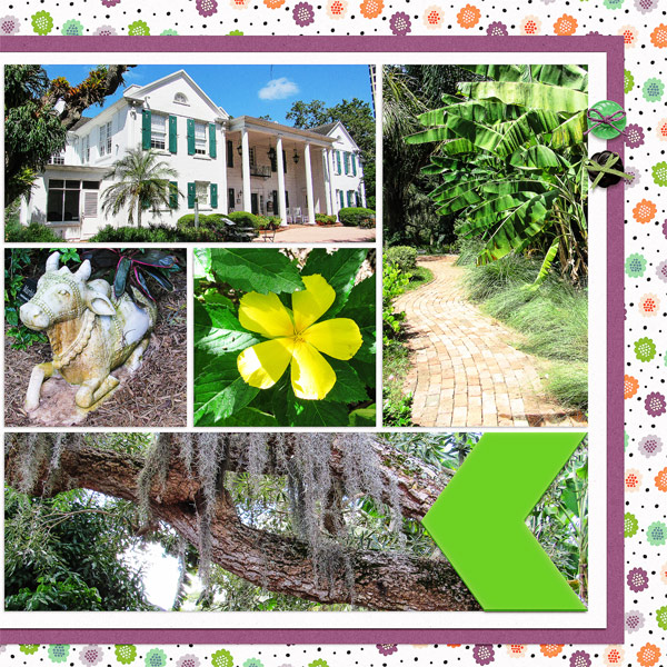 More Selby Gardens Pictures