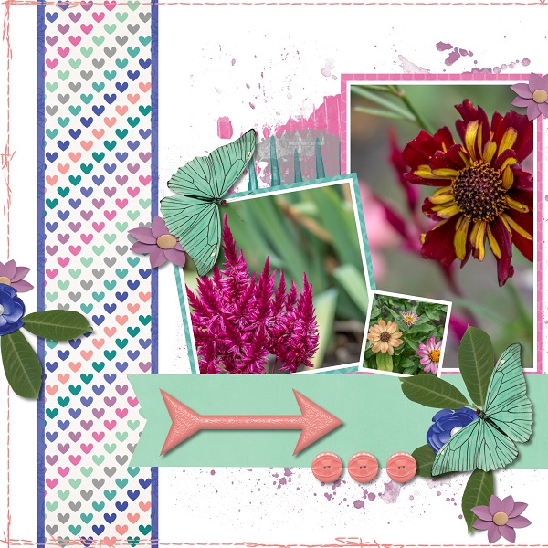 More Summer Flowers