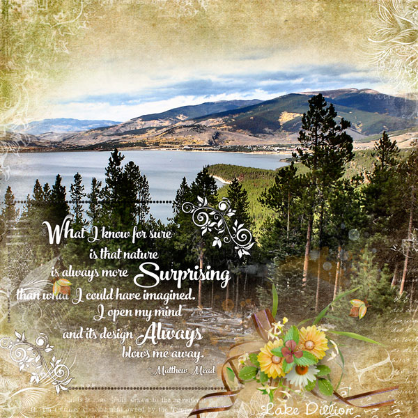 More Than Can Be Imagined