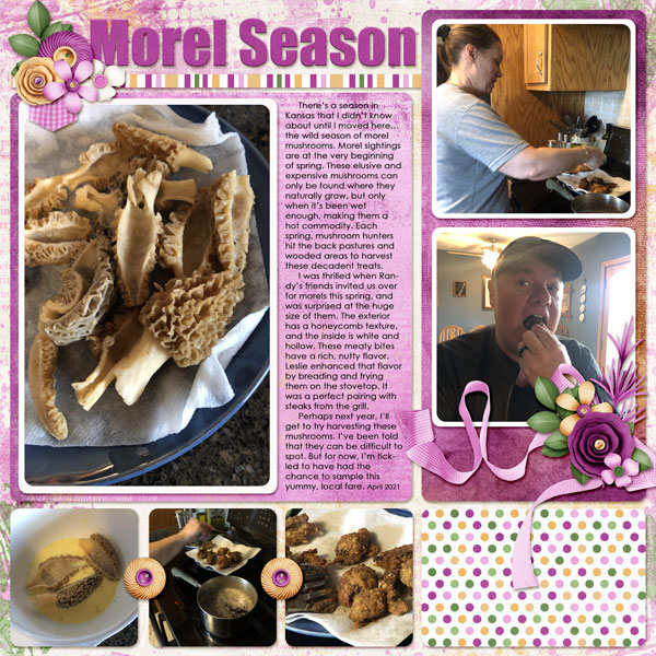 Morel Season