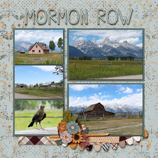 Mormon Row