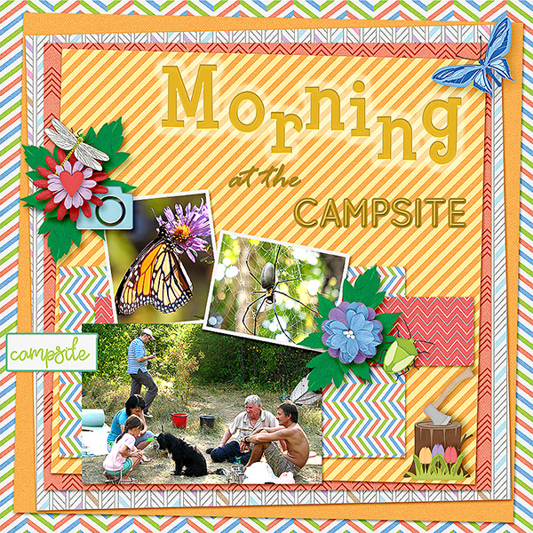 Morning at the Campsite