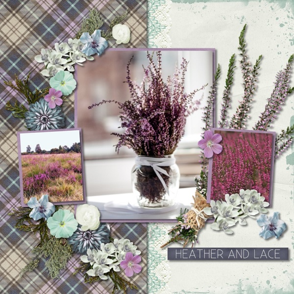 Morning Heather