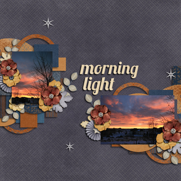 Morning Light