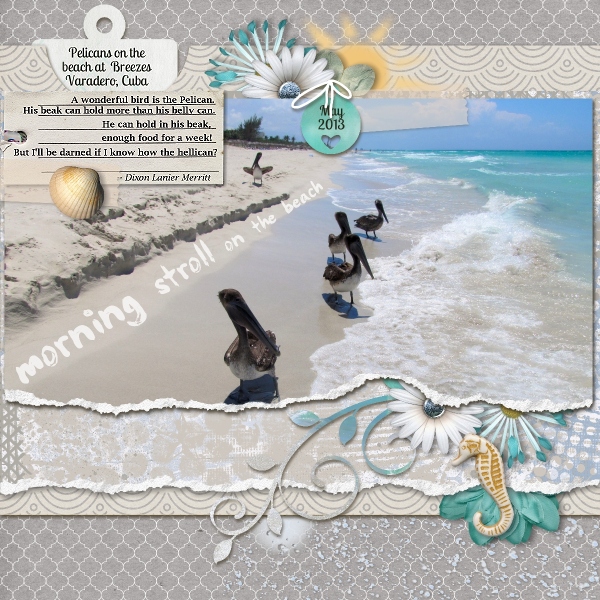 Morning Stroll on the Beach