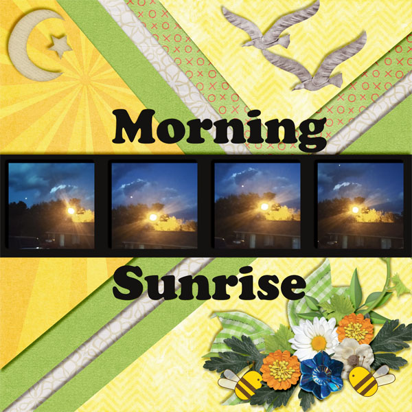 Morning Sunrise