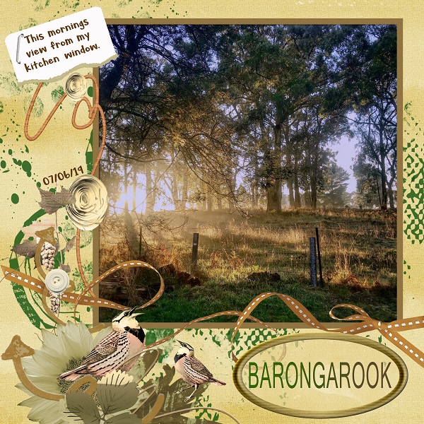 Morning View at Barongarook