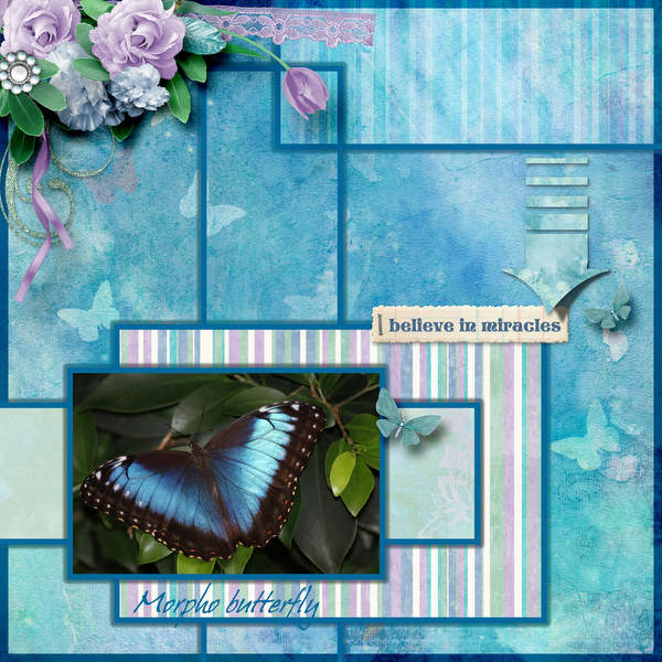Morpho butterfly