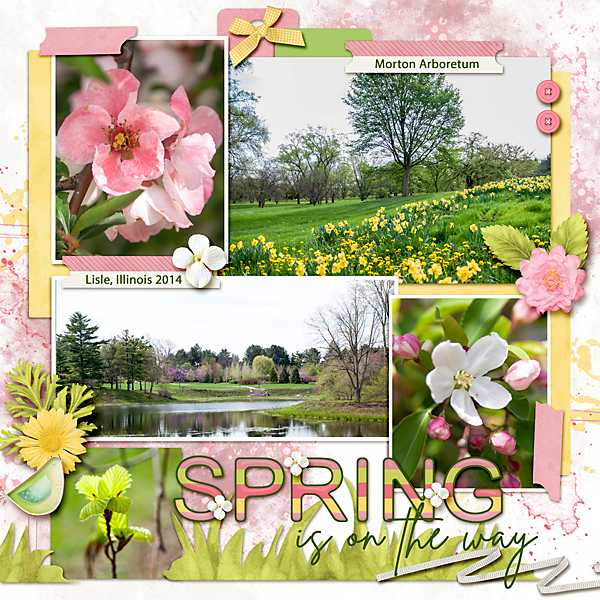 Morton Arboretum