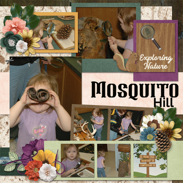 Mosquito Hill Right