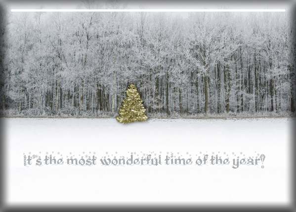 Most Wonderful Time