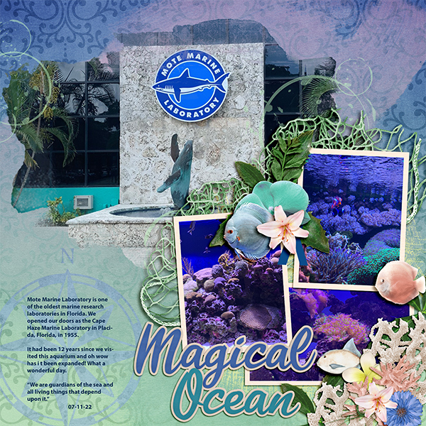 Mote Aquarium 2022