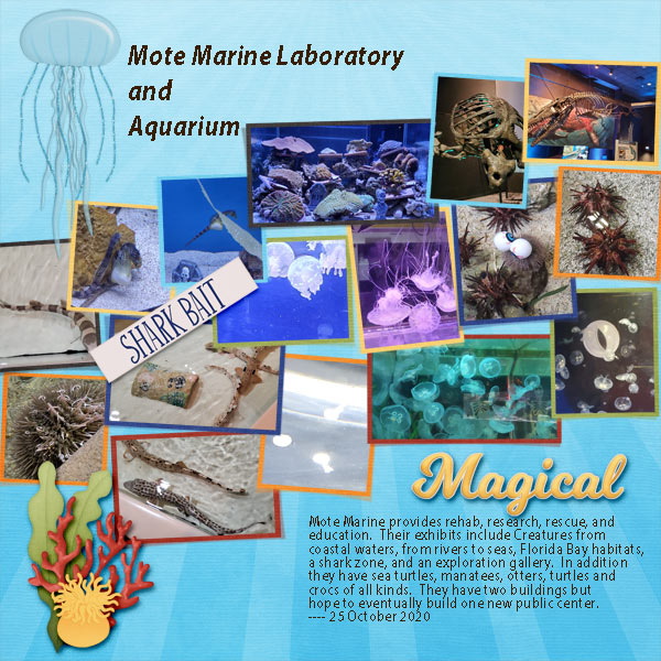 Mote Marine