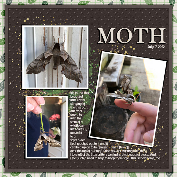 MOTH