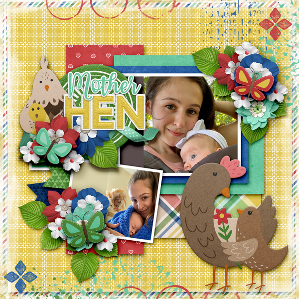 Mother Hen