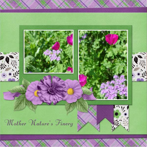 Mother Nature's Finery