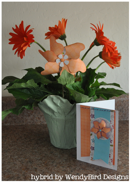 Mother's Day Gift