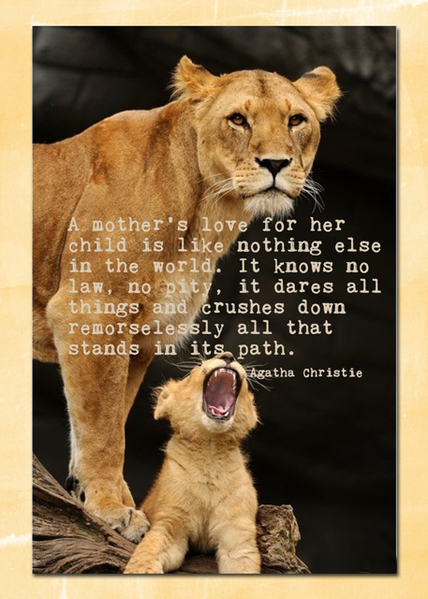 Mother's Love